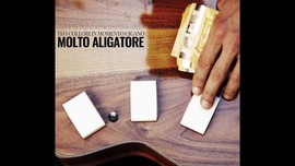 Teo Collori in Momento Cigano - Molto Aligatore (CD)