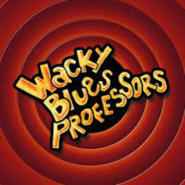 Prismojeni profesorji Bluesa - Wacky Blues Professors (CD)